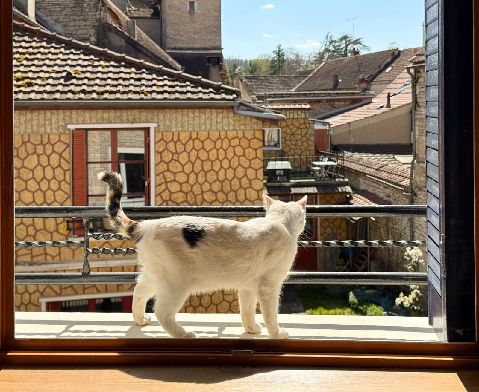 La Petite Maison Noyers-sur-Serein Luaran gambar